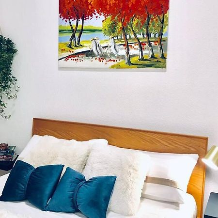 Home In The Heart Of Mannheim, Free Parking, Netflix, Fast Wifi Exteriér fotografie